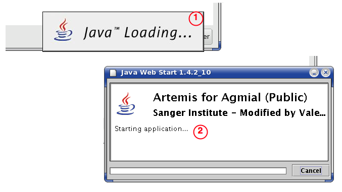 Java and Artemis Loading