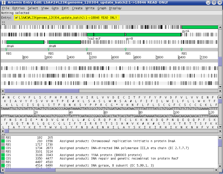 artemis view of the genome